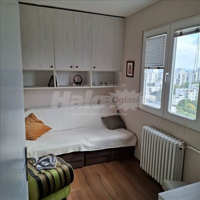 Izdavanje 2.5  stana, Novi Beograd