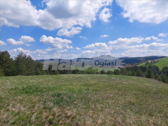 Zlatibor plac Kobilja glava