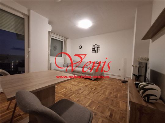 Bulevar Cara Lazara 45 m2