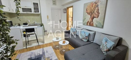 Renoviran, namešten, 40+30 galerija ID#1466