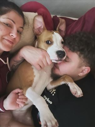 Čuvamo pse - za nas, svaki pas je važan i poseban