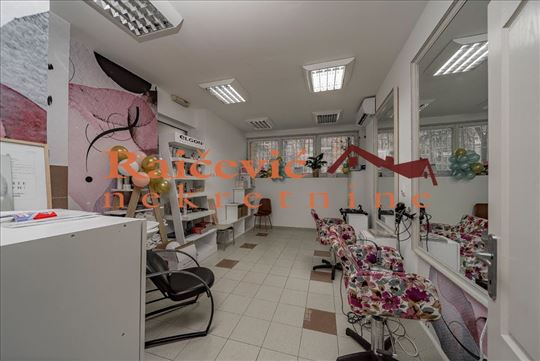 Lion, Bulevar kralja Aleksandra