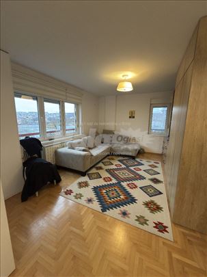 Stepa Stepanovic,Uknjizen stan-Vlasnik