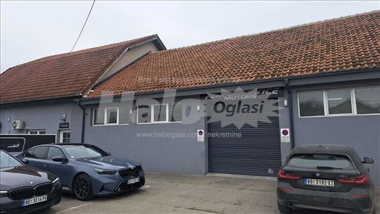 Zemun Altina hala 510 m2 vlasnik