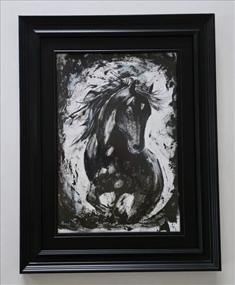 Crni Konj - akril na papiru. Prelepa slika!