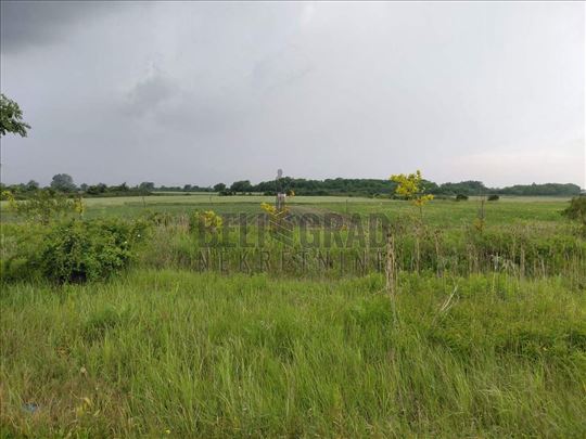 Ovča, Devedeset lanaca, plac