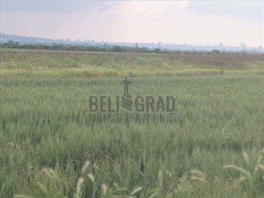 Ovča, La Morminc - odlična lokacija 49 ari