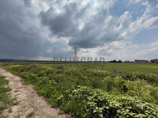 Ovča, Utrina Rit - dobra lokacija