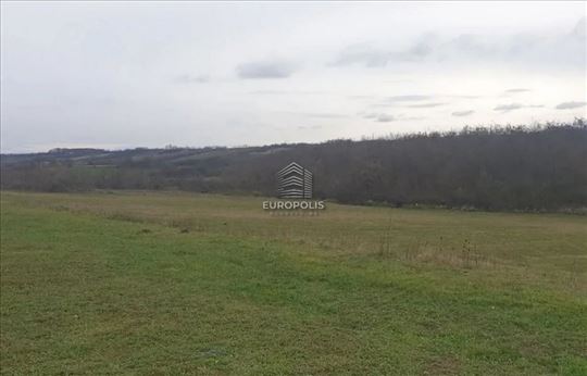 Građevinsko zemljište na obroncima Kosmaja ID#8832