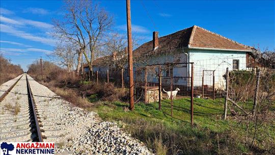 Zaječar - Grlište 3ha 89ari 63kvm