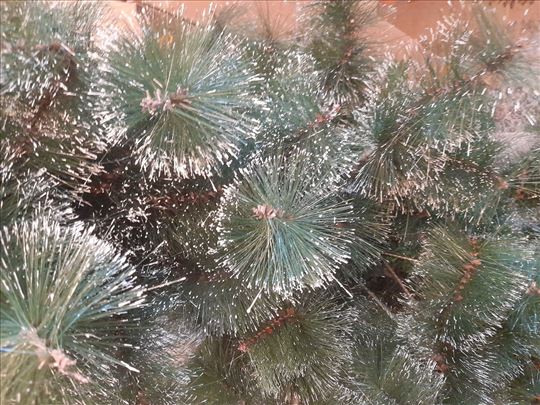 Novogodišnji bor sa srebrnim iglicama 180cm  