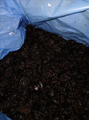 Suva šljiva bez košpe