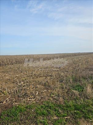 Njiva I klasa 103 ara, Malo Crniće (Stig kod Doma 