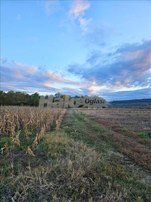 NJIVA I KLASE, 1 ha i 3 ara, pored reke Mlave