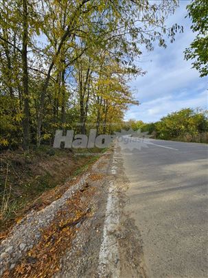 Plac 62 ara – za vinograd ili vikendicu – uz asfal