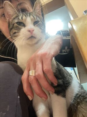 Udomljava se mališa  iz Beograda 