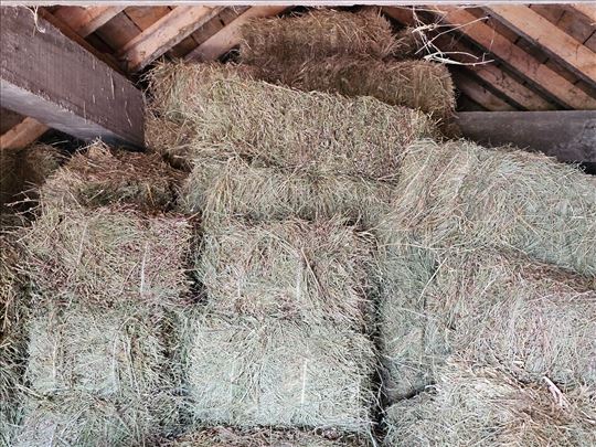 Balirano seno 340 din bala, 300 kom .