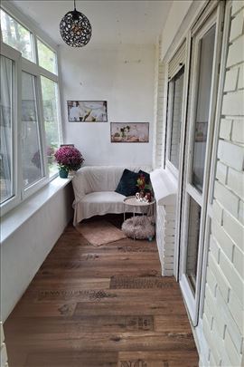 Čuvam Vaše kuce i mace u Beogradu/Vidikovac