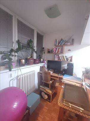 DENKOVA BAŠTA, Vojislava Ilića, uknjižen, odličan