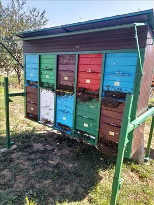 Pčele rojevi LR 60 e AŽ  grom 70 e za 2026