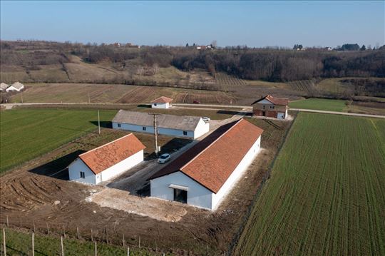 Topola Donja Trešnjevica imanje 1083m2 80 ari
