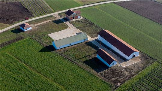 Topola Donja Trešnjevica Imanje  kuća i pomoćne zg