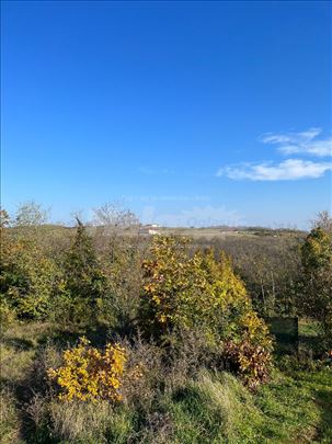 Građevinsko zemljište 82 ara Sopot (Hitna prodaja)