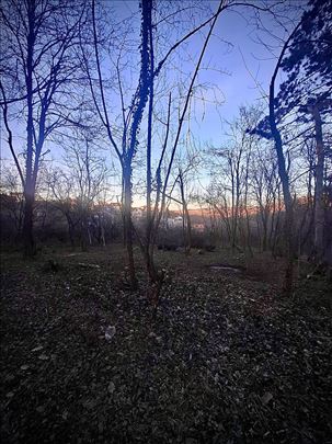 Gradjevinski plac/Sremčica-Lipovačka šuma