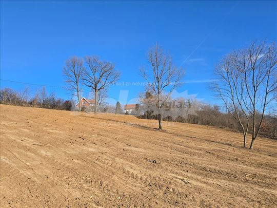 Kosmaj Jedinstvena prilika POGLED