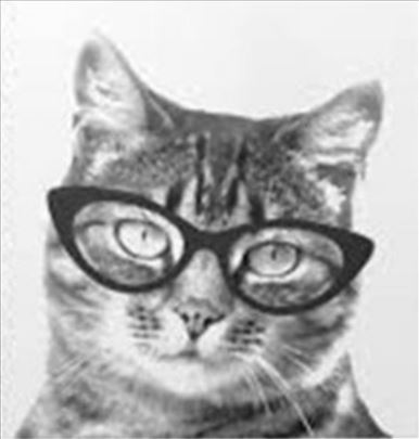 A1B1C1 Časovi engleskog, prevodi, Business English