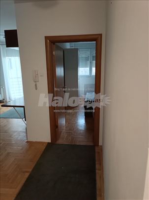 Izdajem Stan, Novi Sad,Centar, Jovana Cvijica