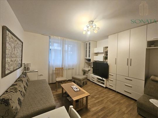 Jednosoban stan u Sazonovoj ulici