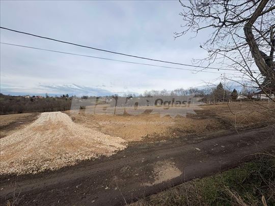 Plac Kosmaj Božanstven