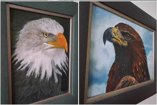 Slika 1: Orao i slika 2: orao beloglavi