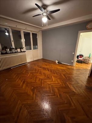 Wolf, ali sa Zvezdare