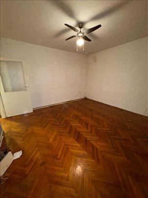 Wolf, ali sa Zvezdare