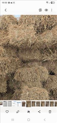 Slama ,zobna ,travnata , 170 din 