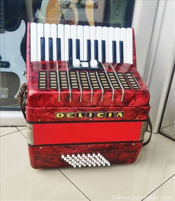 DELICIJA harmonika 48 BASOVA JUNIOR II 3 registra