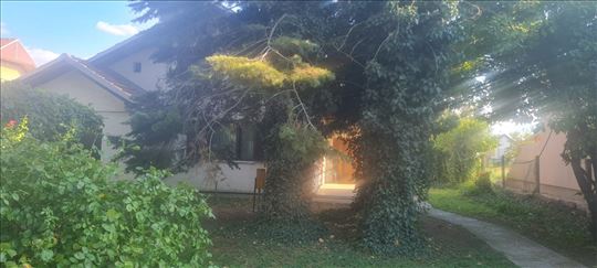 Na prodaju kuća na Misi, u osnovi 125m2,44 ari!