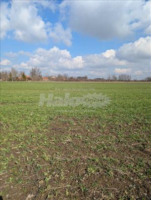 Stepojevac, izuzetan plac, 240 ari