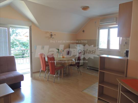 Izdajem prelep svetao 1,5,Zemun,Altina,55m2