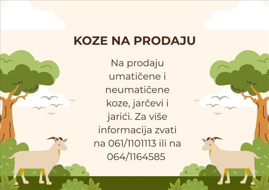 Koze, jarcevi i jarici
