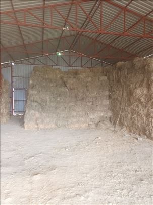 Prodajem bale lucerke i livadskog sena