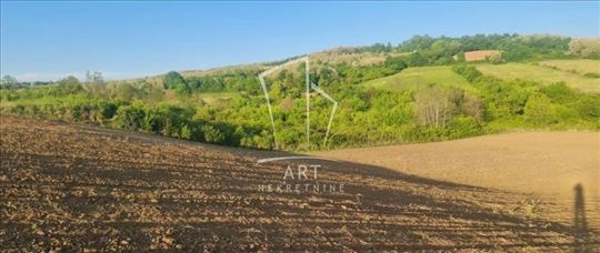 Sopot, Popović, idealan plac, 100 ari ID#13034