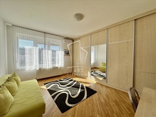 Tašmajdan ,renoviran salonac ID#1016811