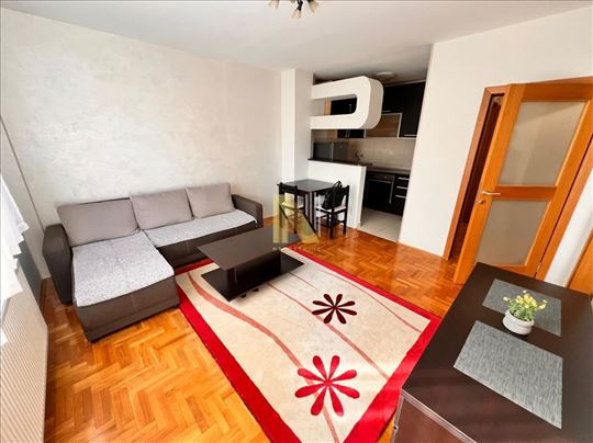 Kompeltno namešten stan na Novoj Detelinari