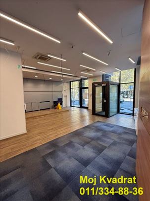 Zvezdara, Lion – Bulevar kralja Aleksandra