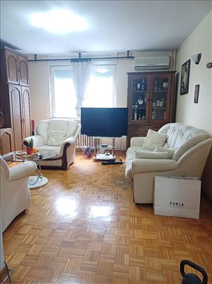 DENKOVA BAŠTA, Vojislava Ilića, uknjižen, odličan