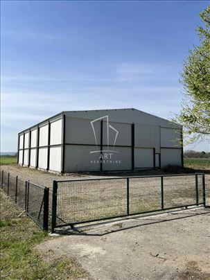 Hala Omoljica, 667m2, 79ari placa ID#16215