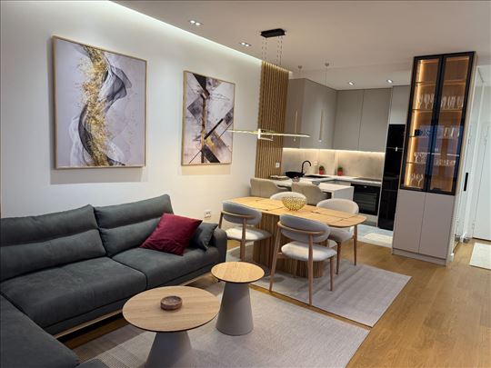 Izuzetan moderan stan za izdavanje u LASTAVICA NBG